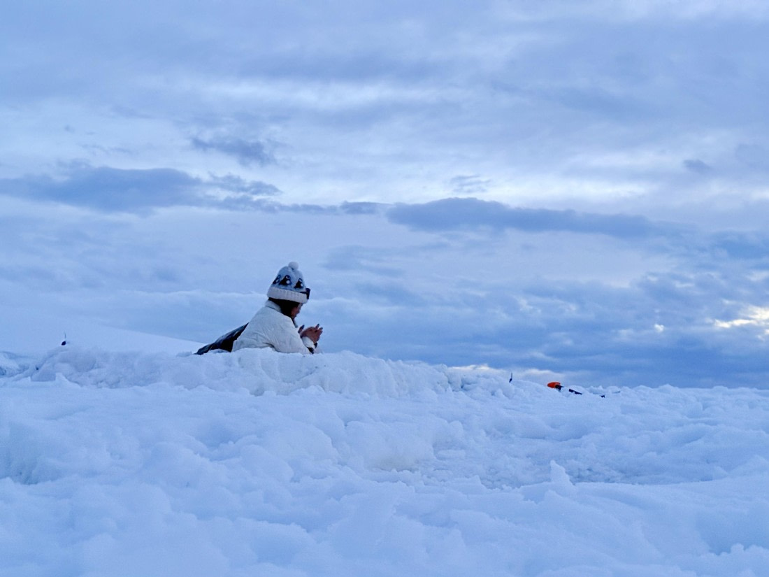 HDS27-26, Day 4, IMG_1966 © Unknown photographer - Oceanwide Expeditions.jpg
