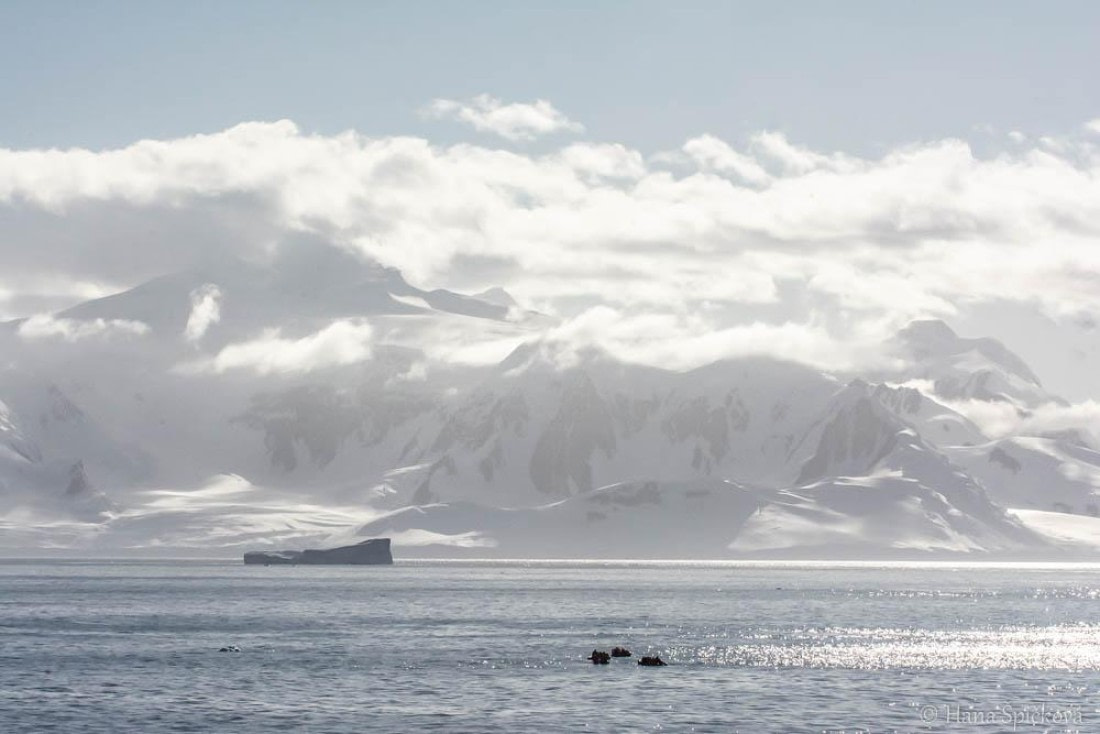 HDS27-26, Day 5, _DSC9176 Hana (12) © Hana Spickova - Oceanwide Expeditions.jpg