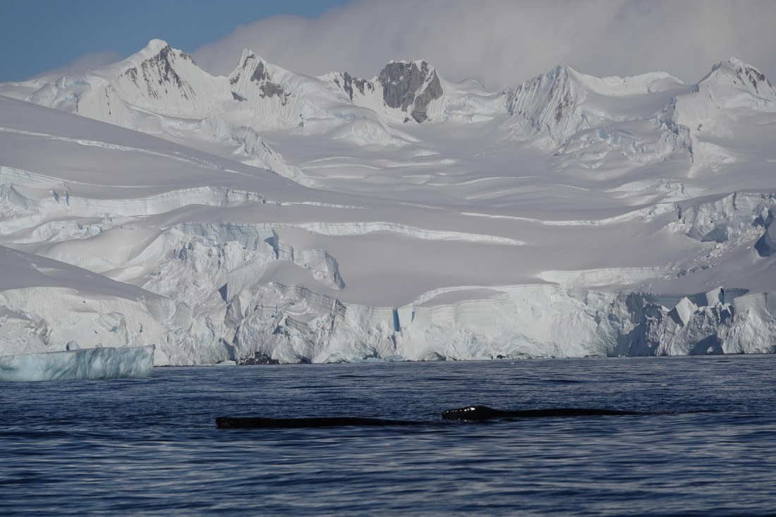 HDS27-26, Day 5, DSC04431 © Unknown photographer - Oceanwide Expeditions.JPG