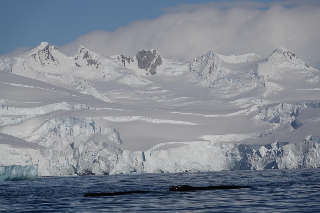 HDS27-26, Day 5, DSC04432 © Unknown photographer - Oceanwide Expeditions.JPG