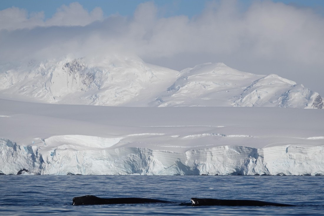 HDS27-26, Day 5, DSC04433 © Unknown photographer - Oceanwide Expeditions.JPG