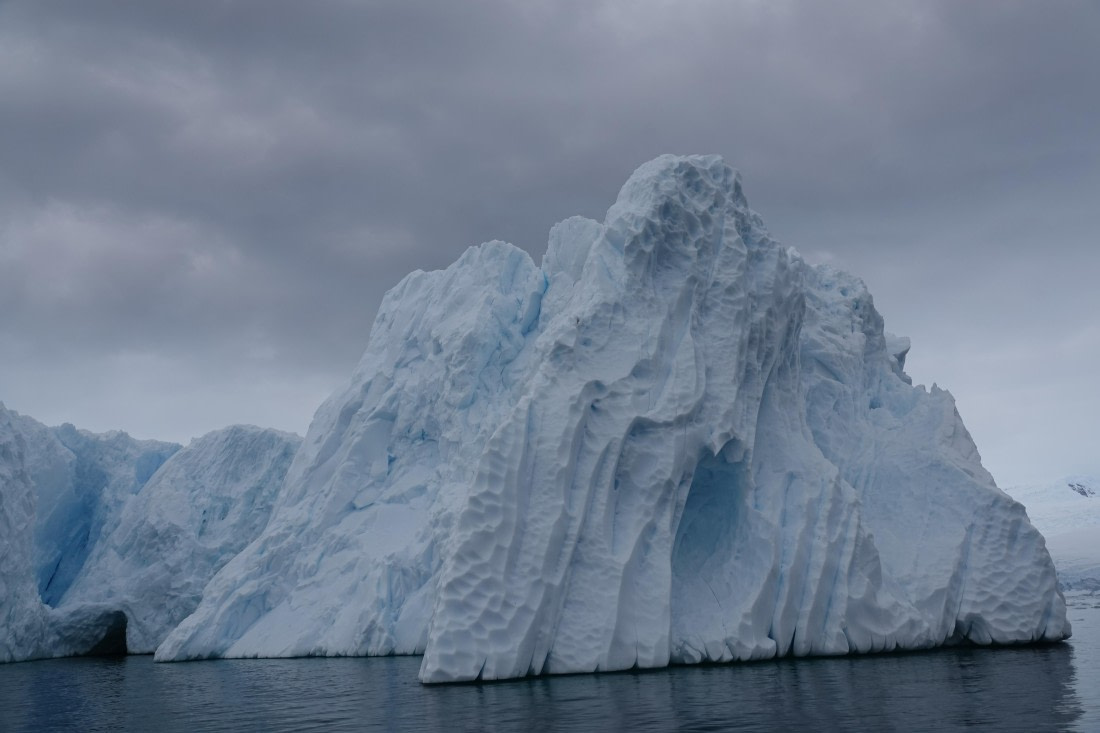 HDS27-26, Day 5, DSC04445 © Unknown photographer - Oceanwide Expeditions.JPG