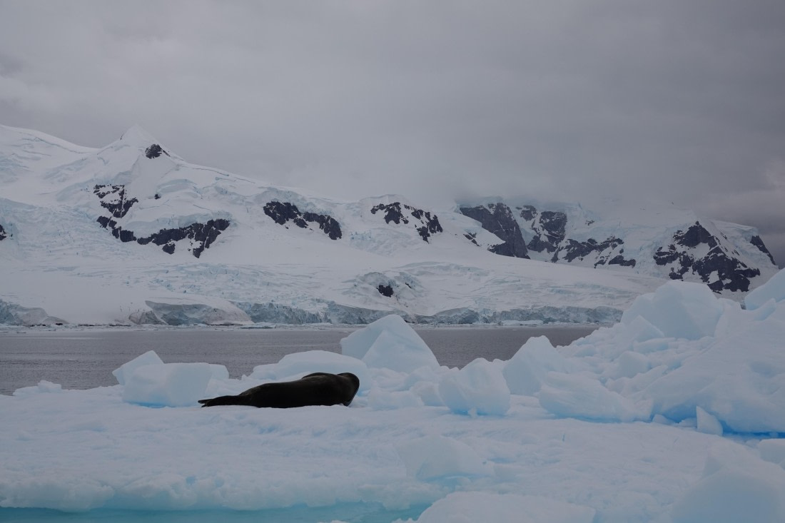 HDS27-26, Day 5, DSC04447 © Unknown photographer - Oceanwide Expeditions.JPG