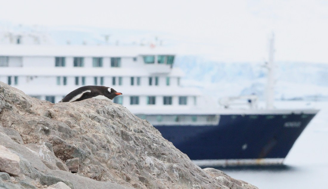 HDS27-26, Day 5, IMG_9076 © Unknown photographer - Oceanwide Expeditions.JPG