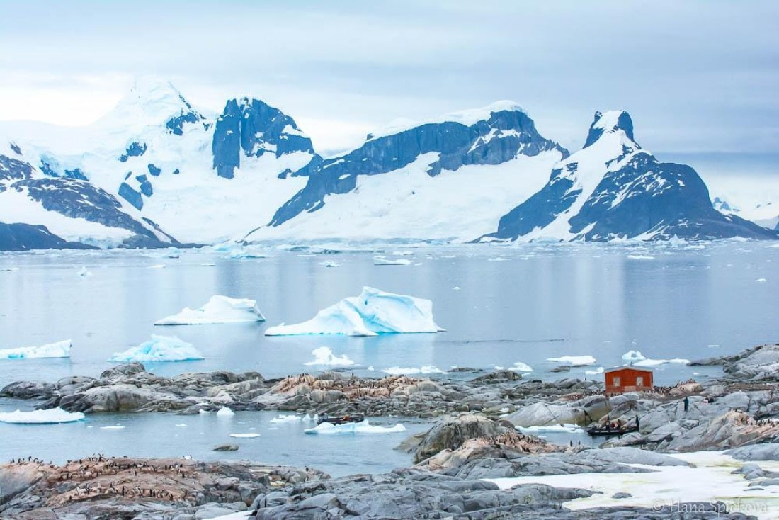 HDS27-26, Day 6, _DSC9092 Hana (8) © Hana Spickova - Oceanwide Expeditions.jpg