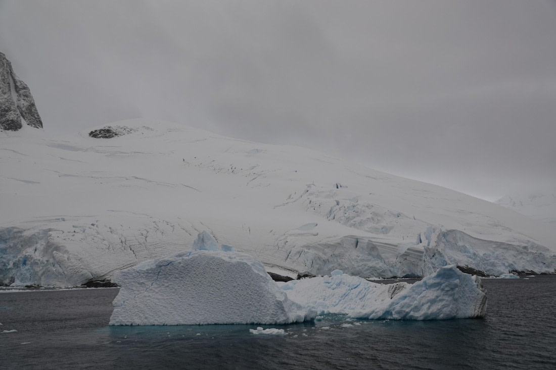 HDS27-26, Day 6, DSC04481 © Unknown photographer - Oceanwide Expeditions.JPG