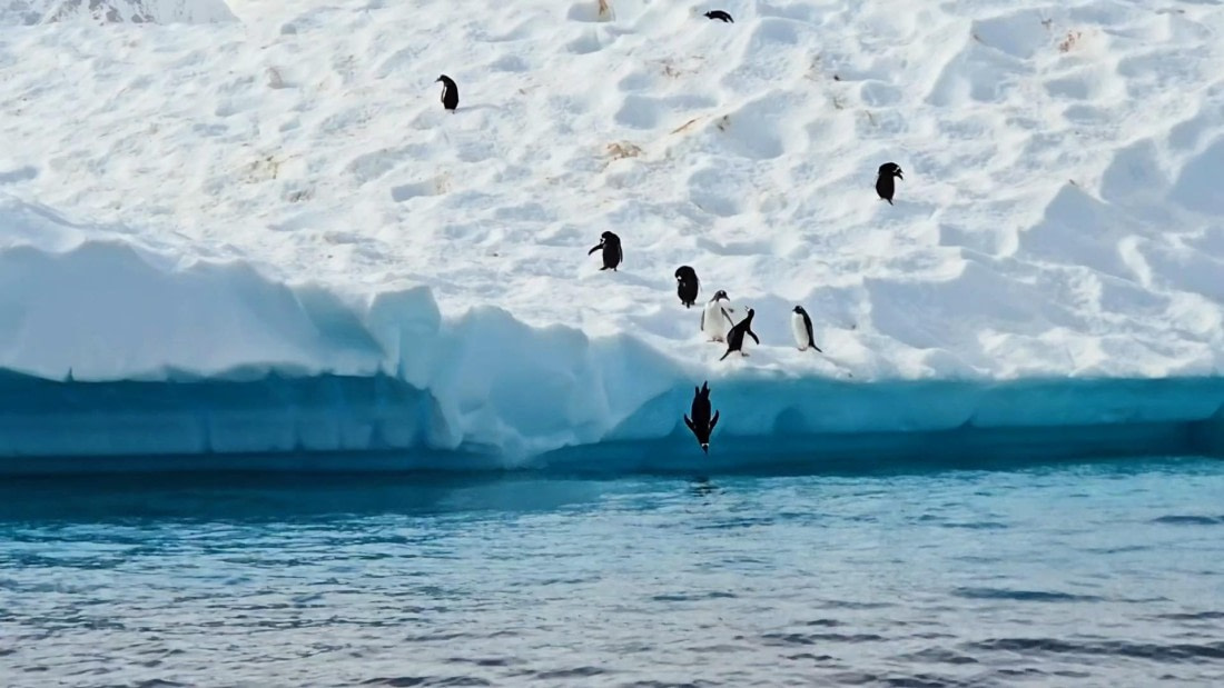 HDS27-26, Day 7, 20260124_094029-Jodi © Jodi Gaylord - Oceanwide Expeditions.jpg