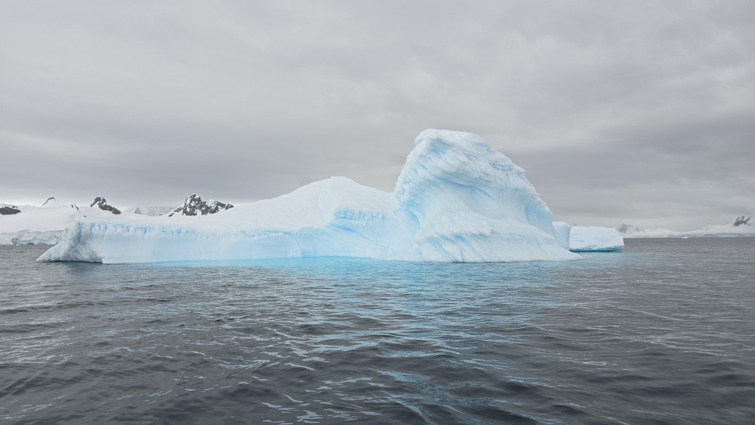 HDS27-26, Day 7, 20260124_103622-Jodi © Jodi Gaylord - Oceanwide Expeditions.jpg