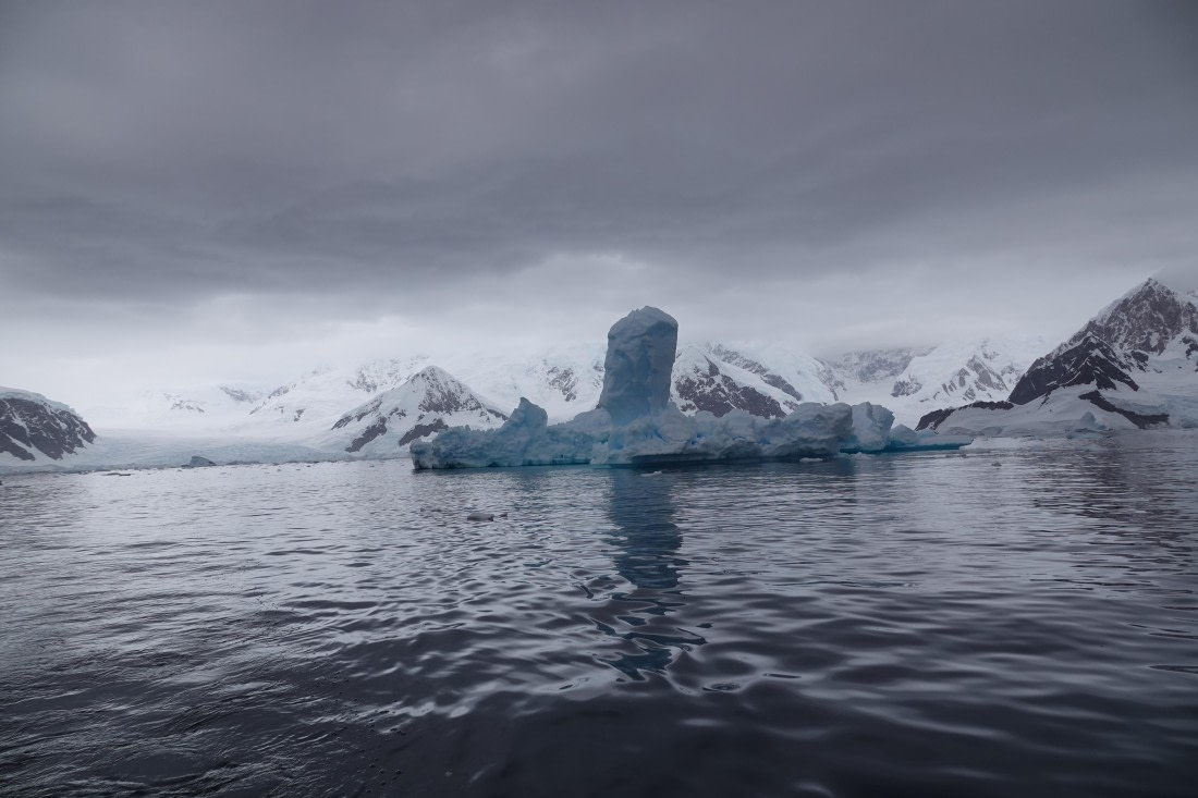 HDS27-26, Day 7, DSC04521 © Unknown photographer - Oceanwide Expeditions.JPG
