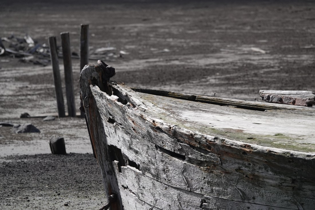 HDS27-26, Day 8, DSC04613 © Unknown photographer - Oceanwide Expeditions.JPG