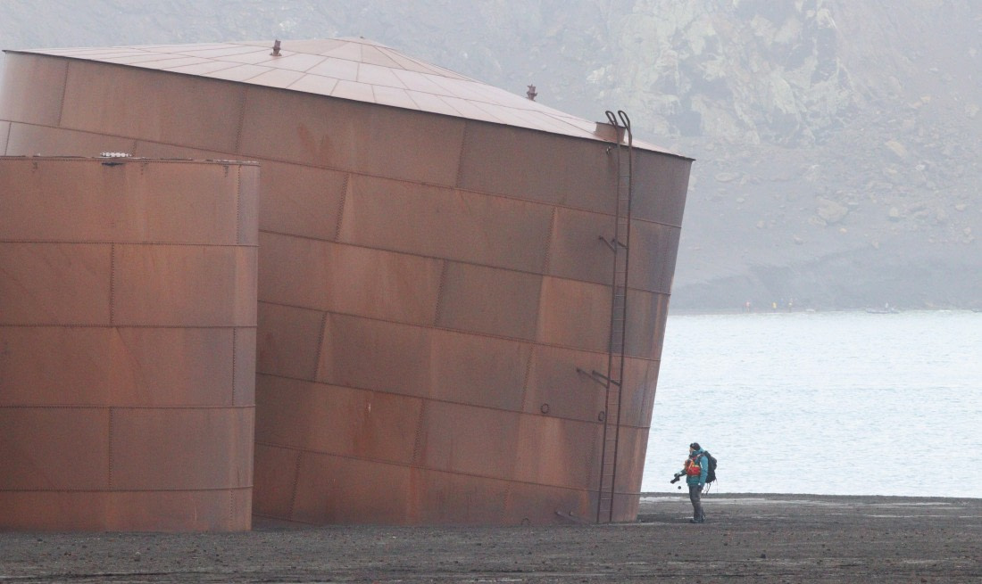 HDS27-26, Day 8, IMG_9534 © Unknown photographer - Oceanwide Expeditions.JPG