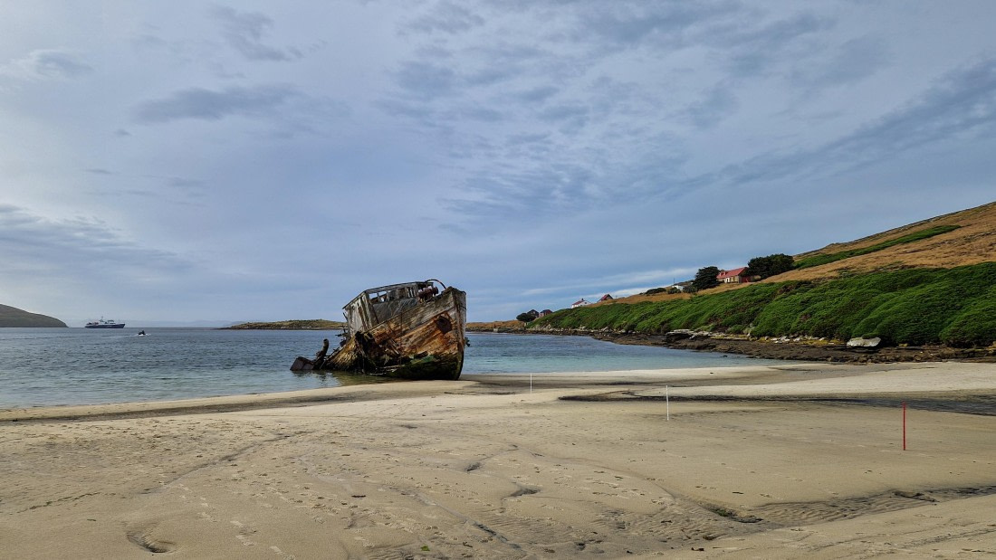 PLA27-26, Day 3, 20260121_074534.jpg © Unknown Photographer - Oceanwide Expeditions.jpg