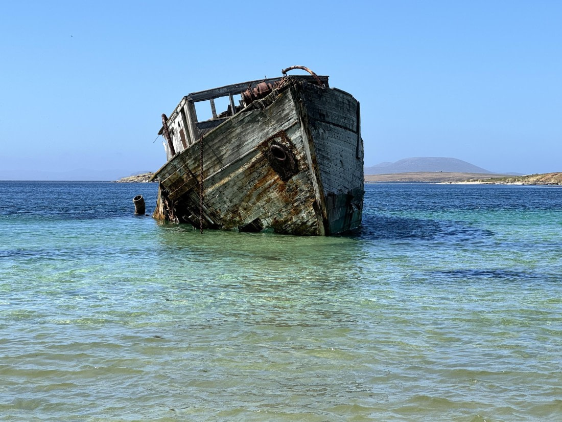 PLA27-26, Day 3, IMG_0486.JPG © Unknown Photographer - Oceanwide Expeditions.JPG