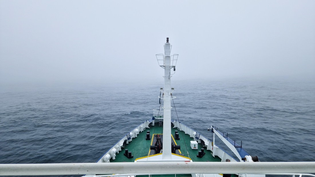 PLA27-26, Day 6, 20260124_090810.jpg © Unknown Photographer - Oceanwide Expeditions.jpg