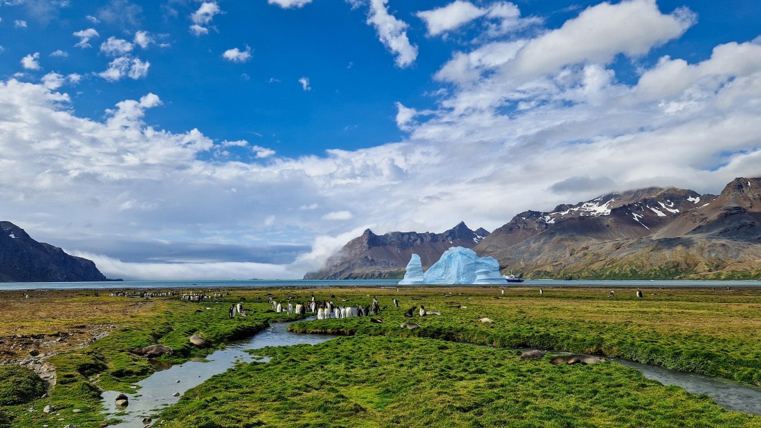 PLA27-26, Day 8, 20260126_160024.jpg © Unknown Photographer - Oceanwide Expeditions.jpg