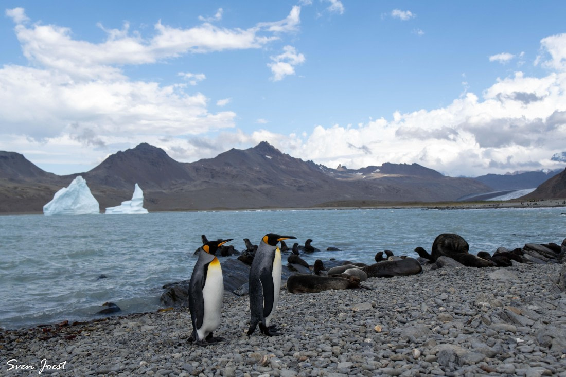PLA27-26, Day 8, DSC_2753.jpg © Sven Joest - Oceanwide Expeditions.jpg