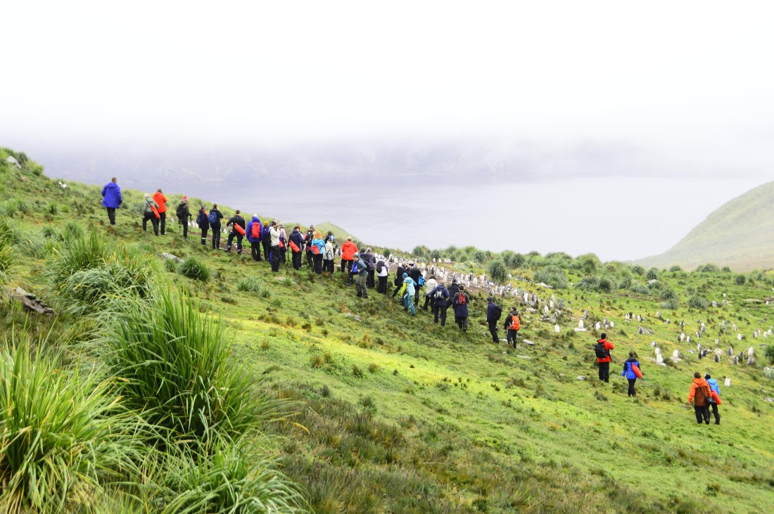 PLA27-26, Day 9, _DSC0252.JPG © Unknown Photographer - Oceanwide Expeditions.JPG