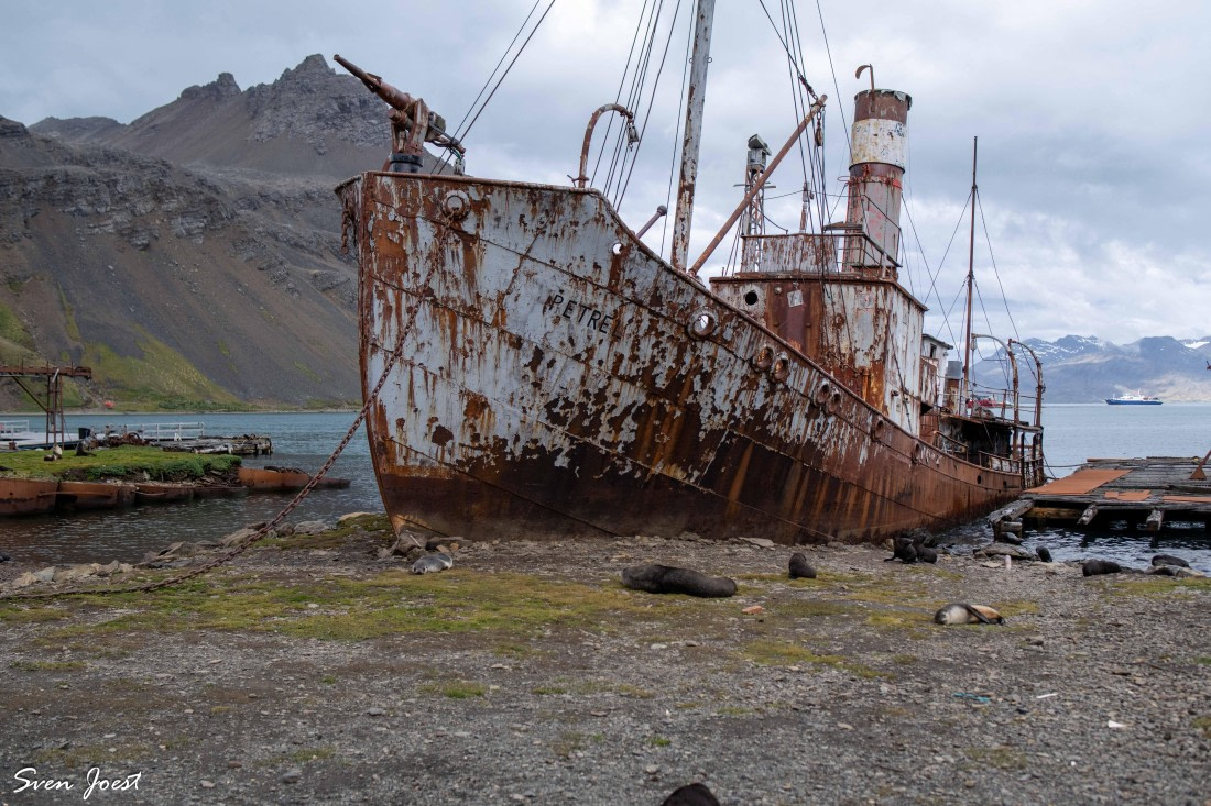 PLA27-26, Day 9, DSC_2947.jpg © Unknown Photographer - Oceanwide Expeditions.jpg © Sven Joest - Oceanwide Expeditions.jpg