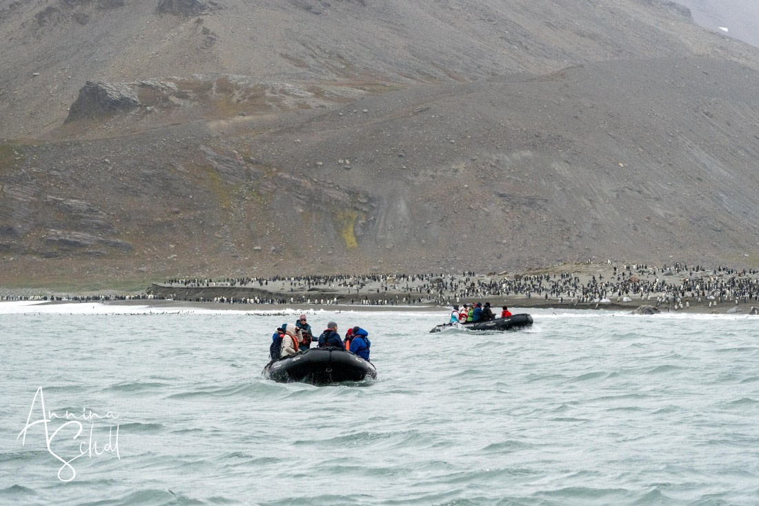 PLA27-26, Day 10, DSC04043.jpg © Annina Scholl - Oceanwide Expeditions.jpg