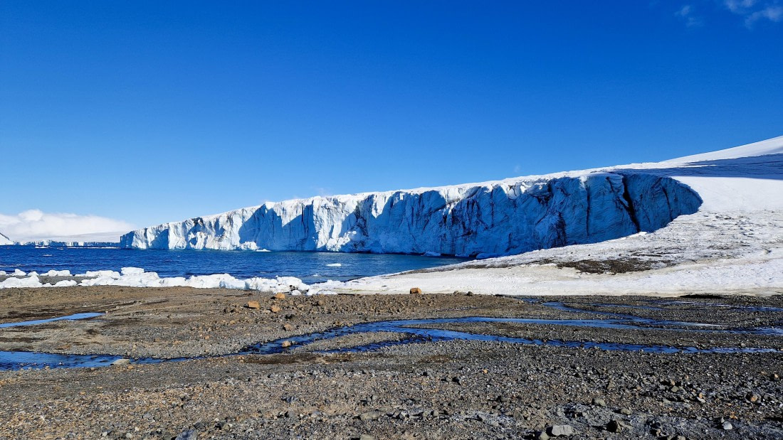 PLA27-26, Day 15, 20260202_172253.jpg © Unknown Photographer - Oceanwide Expeditions.jpg