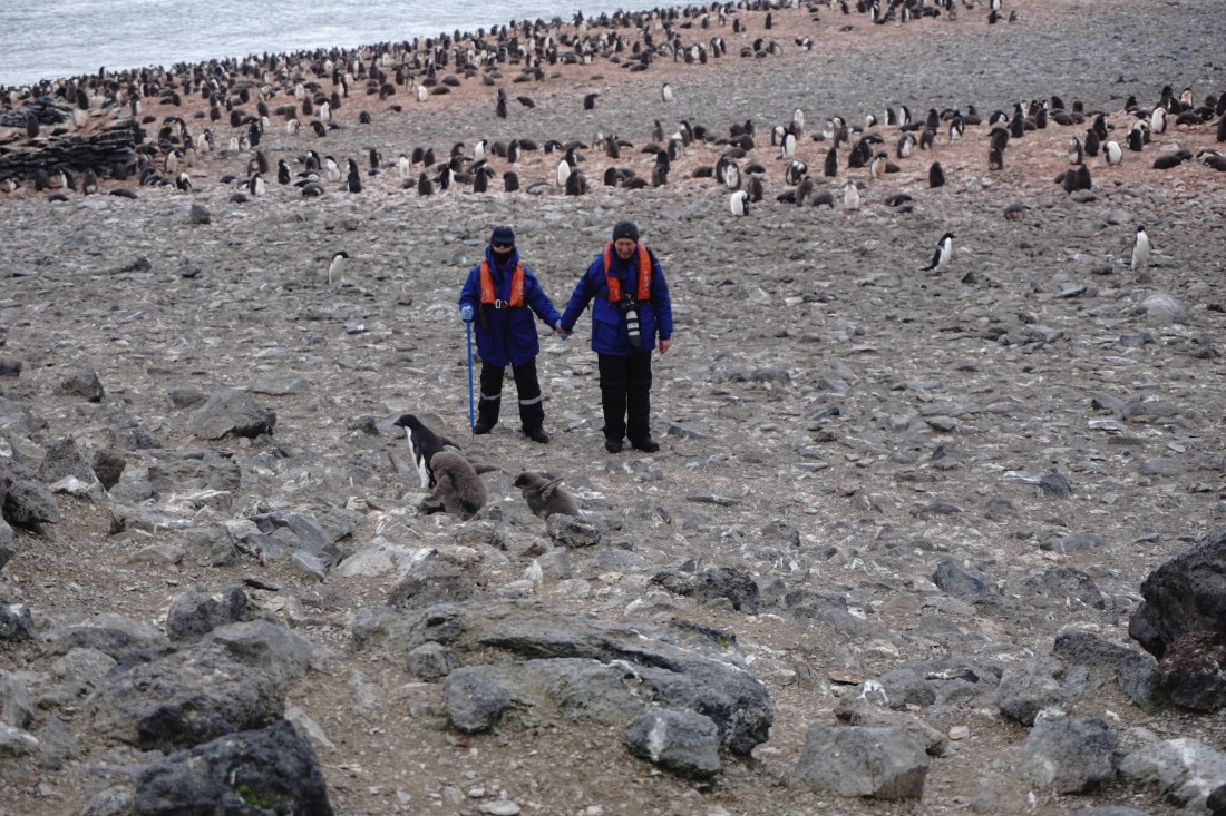 PLA27-26, Day 15, DSC09687.JPG © Unknown Photographer - Oceanwide Expeditions.JPG