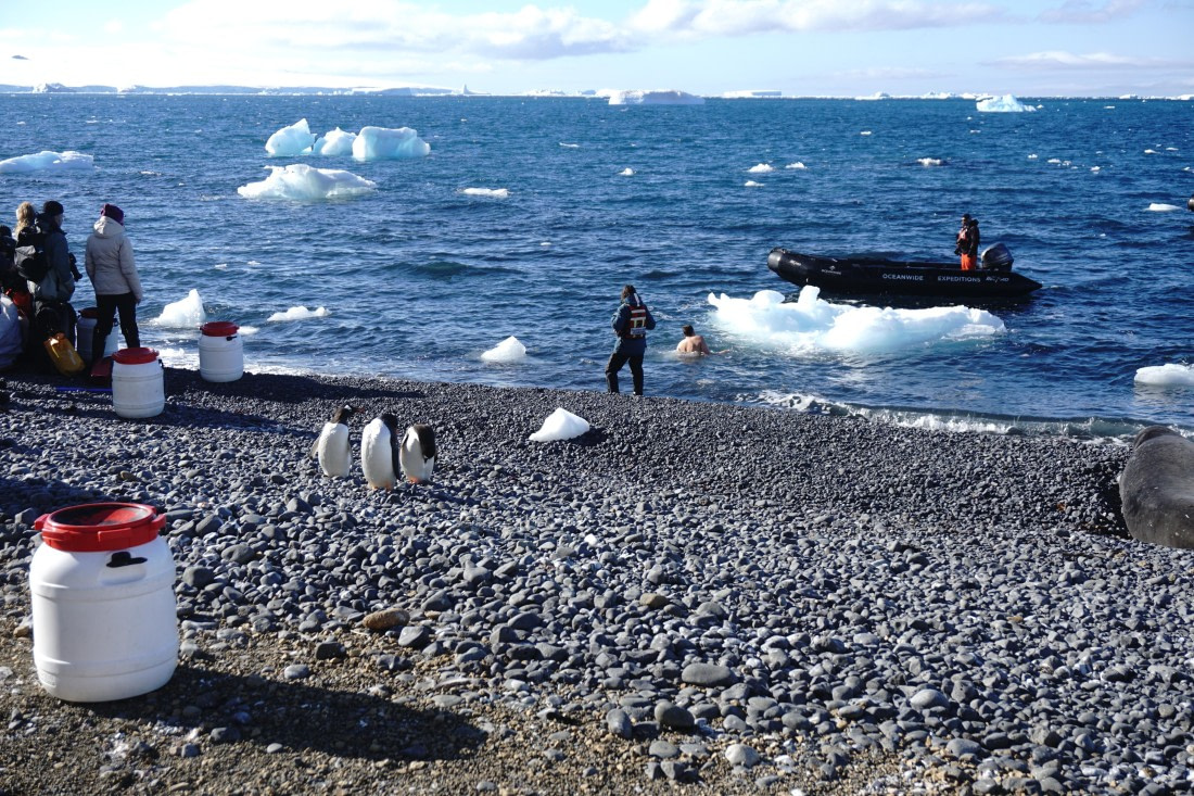 PLA27-26, Day 15, DSC09794.JPG © Unknown Photographer - Oceanwide Expeditions.JPG