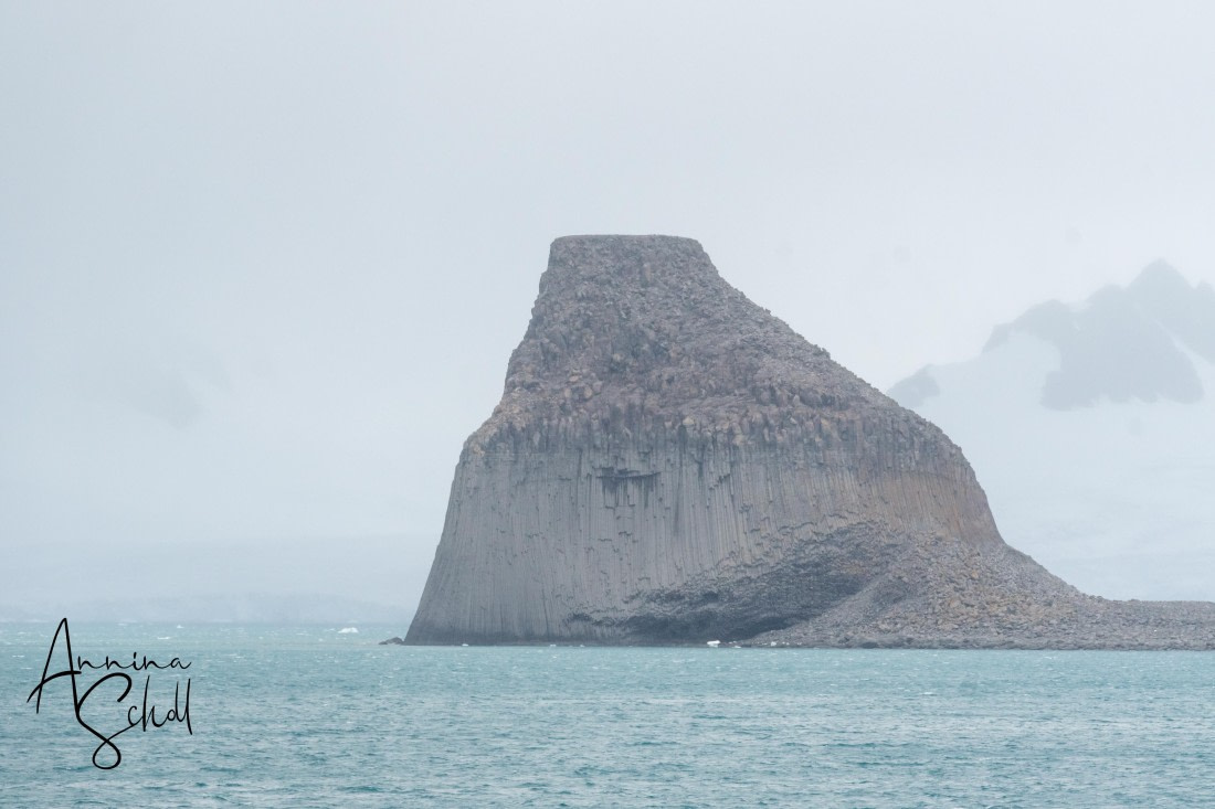 PLA27-26, Day 16, DSC06350.jpg © Annina Scholl - Oceanwide Expeditions.jpg