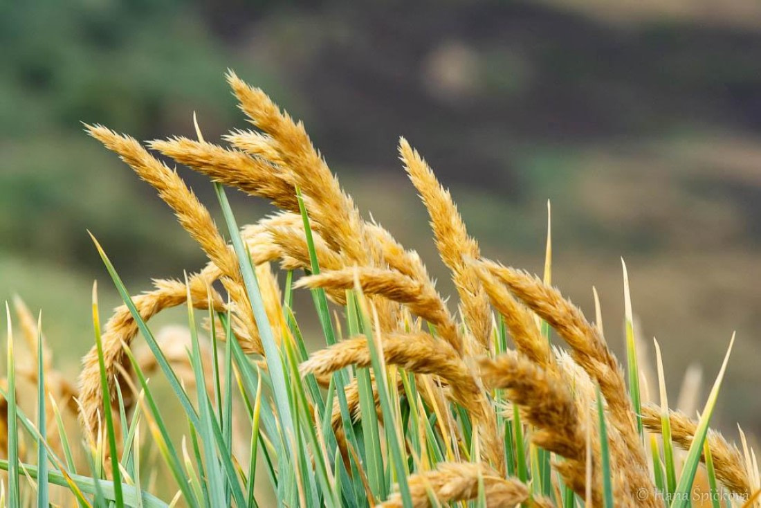 HDS28-26, Day 3, _DSC9282 Hana (3).jpg © Hana Spickova - Oceanwide Expeditions.jpg