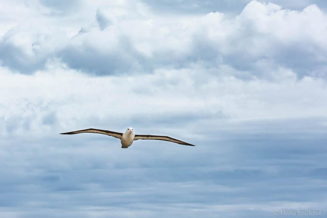 HDS28-26, Day 3, _DSC9282 Hana (10).jpg © Hana Spickova - Oceanwide Expeditions.jpg