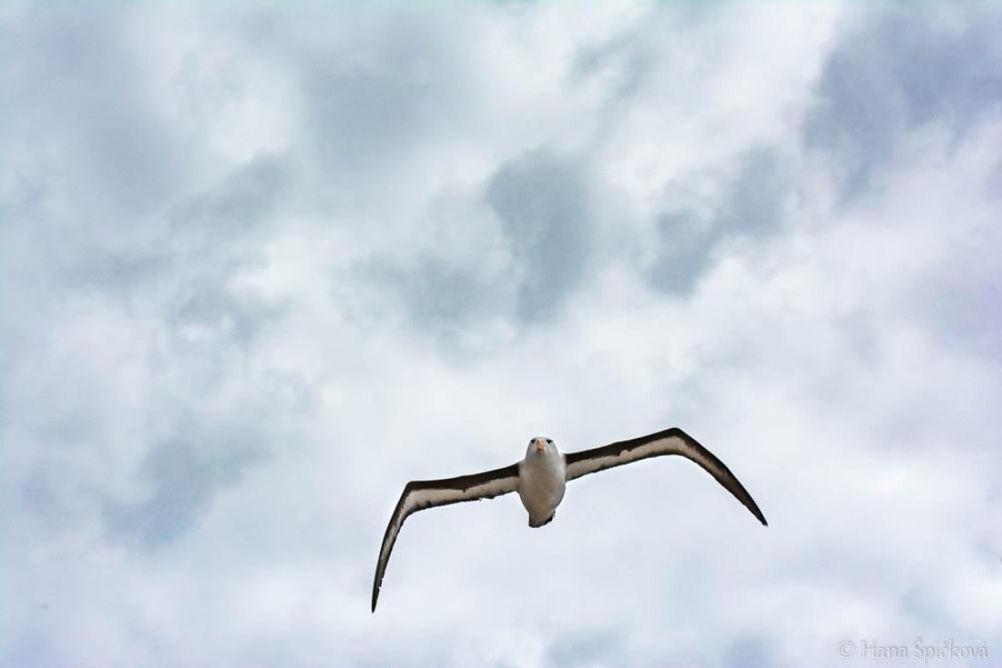 HDS28-26, Day 3, _DSC9282 Hana (11).jpg © Hana Spickova - Oceanwide Expeditions.jpg