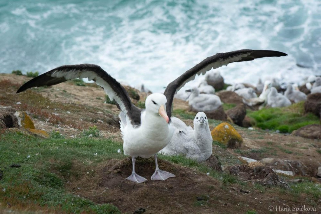 HDS28-26, Day 3, _DSC9282 Hana (16).jpg © Hana Spickova - Oceanwide Expeditions.jpg