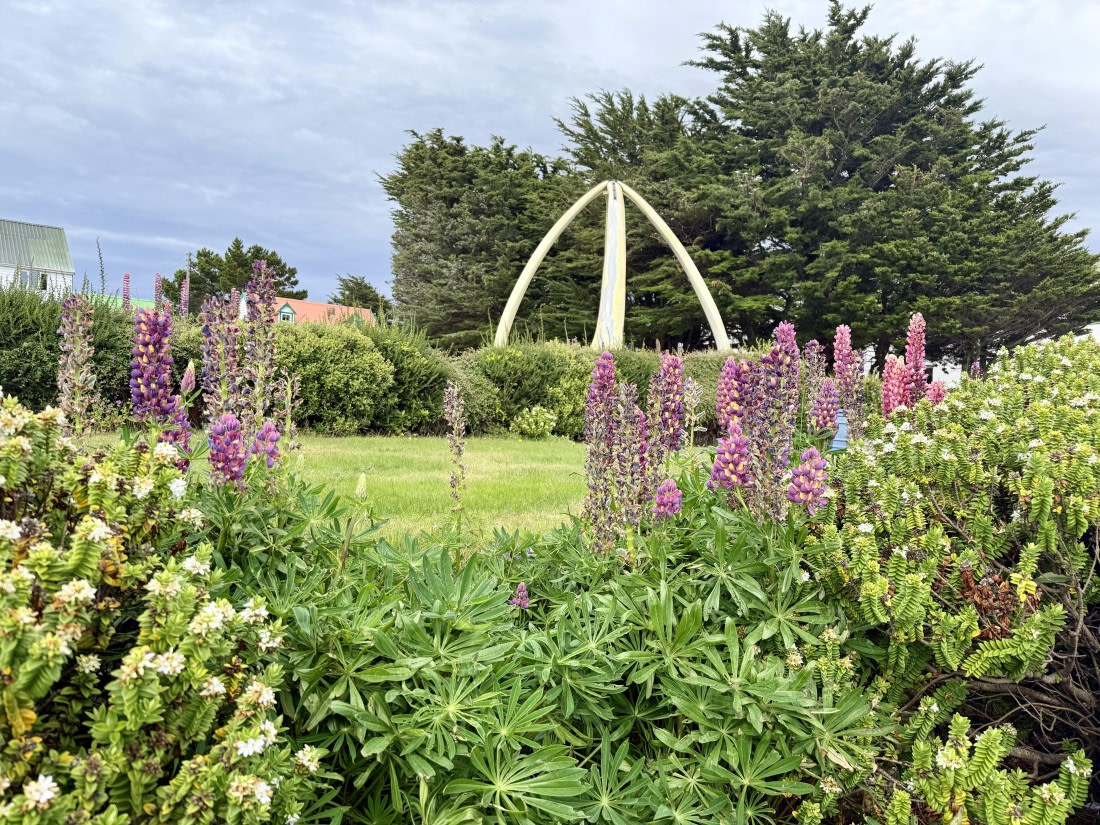 HDS28-26, Day 4, IMG_2179_Hana_(9).jpg © Hana Spickova - Oceanwide Expeditions.jpg