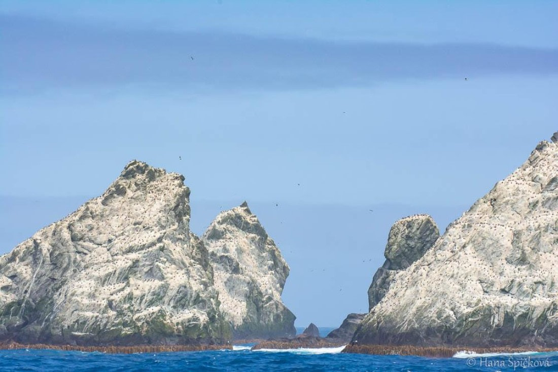 HDS28-26, Day 6, _DSC9514 Hana (8).jpg © Hana Spickova - Oceanwide Expeditions.jpg