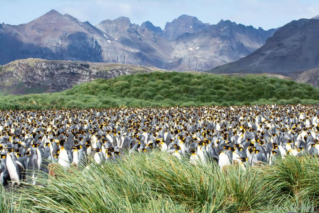 HDS28-26, Day 7, _DSC9555 Hana (8).jpg © Hana Spickova - Oceanwide Expeditions.jpg