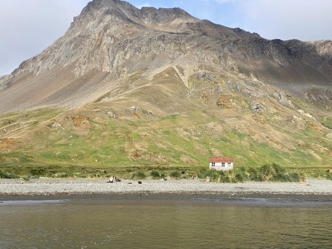 HDS28-26, Day 8, IMG_8662.jpg © Unknown photographer - Oceanwide Expeditions.jpg