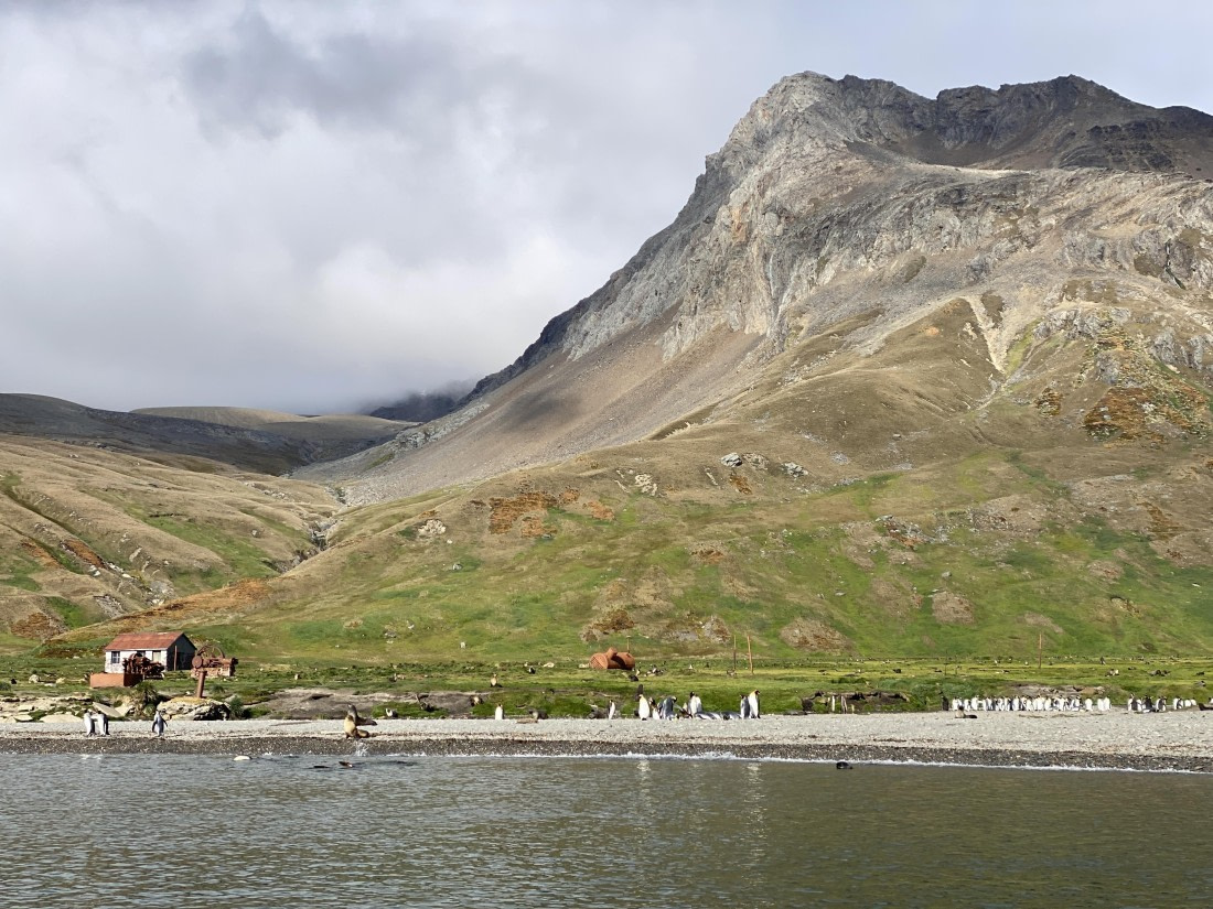 HDS28-26, Day 8, IMG_8665.JPG © Unknown photographer - Oceanwide Expeditions.JPG