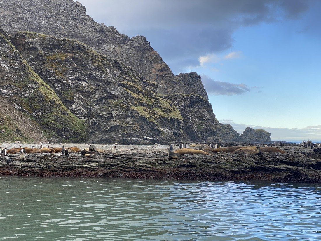 HDS28-26, Day 8, IMG_8680.JPG © Unknown photographer - Oceanwide Expeditions.JPG