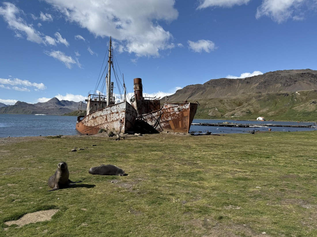 HDS28-26, Day 9, IMG_4971_Jade_(5).jpg © Jade Heister - Oceanwide Expeditions.jpg