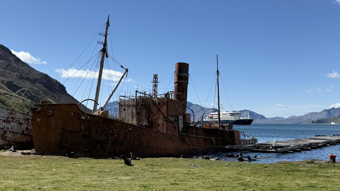 HDS28-26, Day 9, IMG_4971_Jade_(6).jpg © Jade Heister - Oceanwide Expeditions.jpg