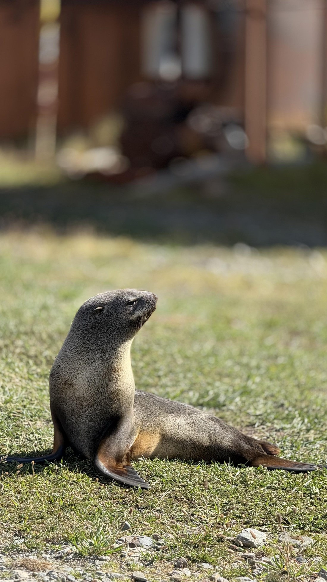 HDS28-26, Day 9, IMG_4971_Jade_(14).jpg © Jade Heister - Oceanwide Expeditions.jpg