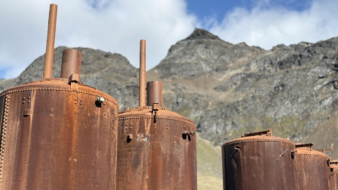 HDS28-26, Day 9, IMG_4971_Jade_(15).jpg © Jade Heister - Oceanwide Expeditions.jpg