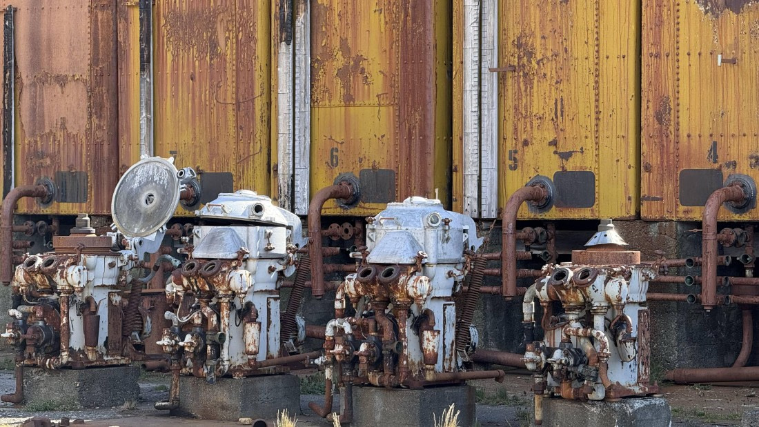 HDS28-26, Day 9, IMG_4971_Jade_(21).jpg © Jade Heister - Oceanwide Expeditions.jpg