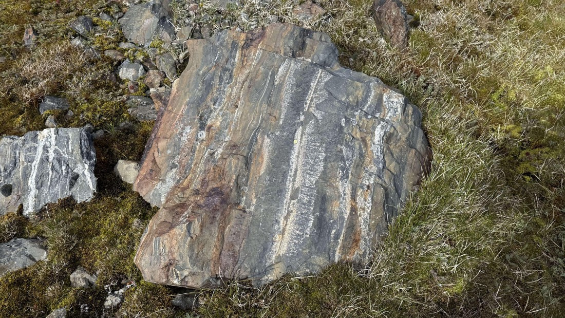 HDS28-26, Day 9, IMG_4971_Jade_(43).jpg © Jade Heister - Oceanwide Expeditions.jpg