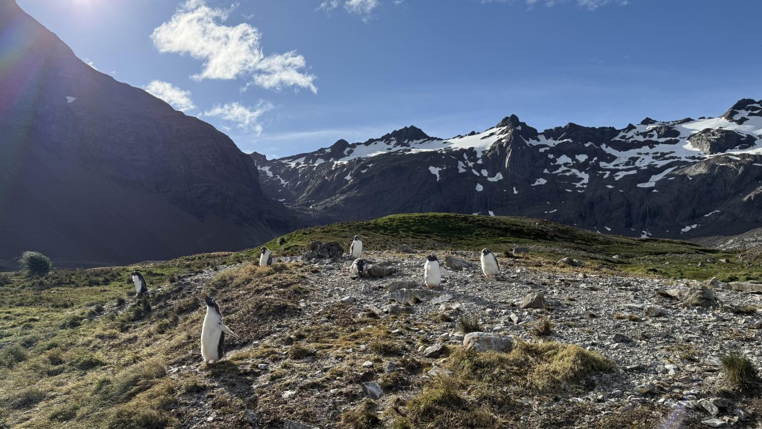 HDS28-26, Day 9, IMG_4971_Jade_(60).jpg © Jade Heister - Oceanwide Expeditions.jpg