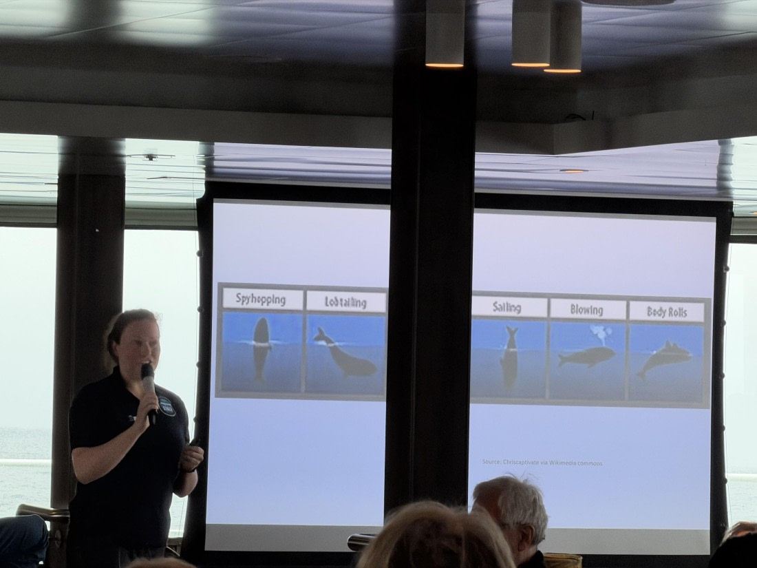 HDS28-26, Day 11, IMG_8903.jpg © Unknown photographer - Oceanwide Expeditions.jpg