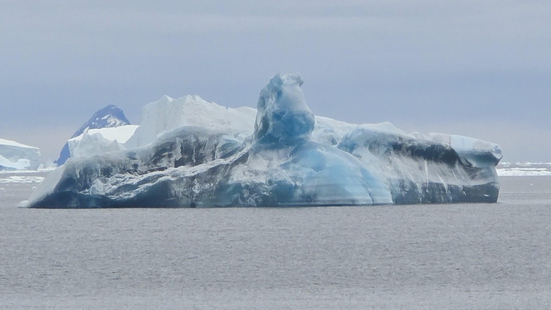 HDS28-26, Day 12, 20260208_133442-Jodi.jpg © Jodi Gaylord - Oceanwide Expeditions.jpg