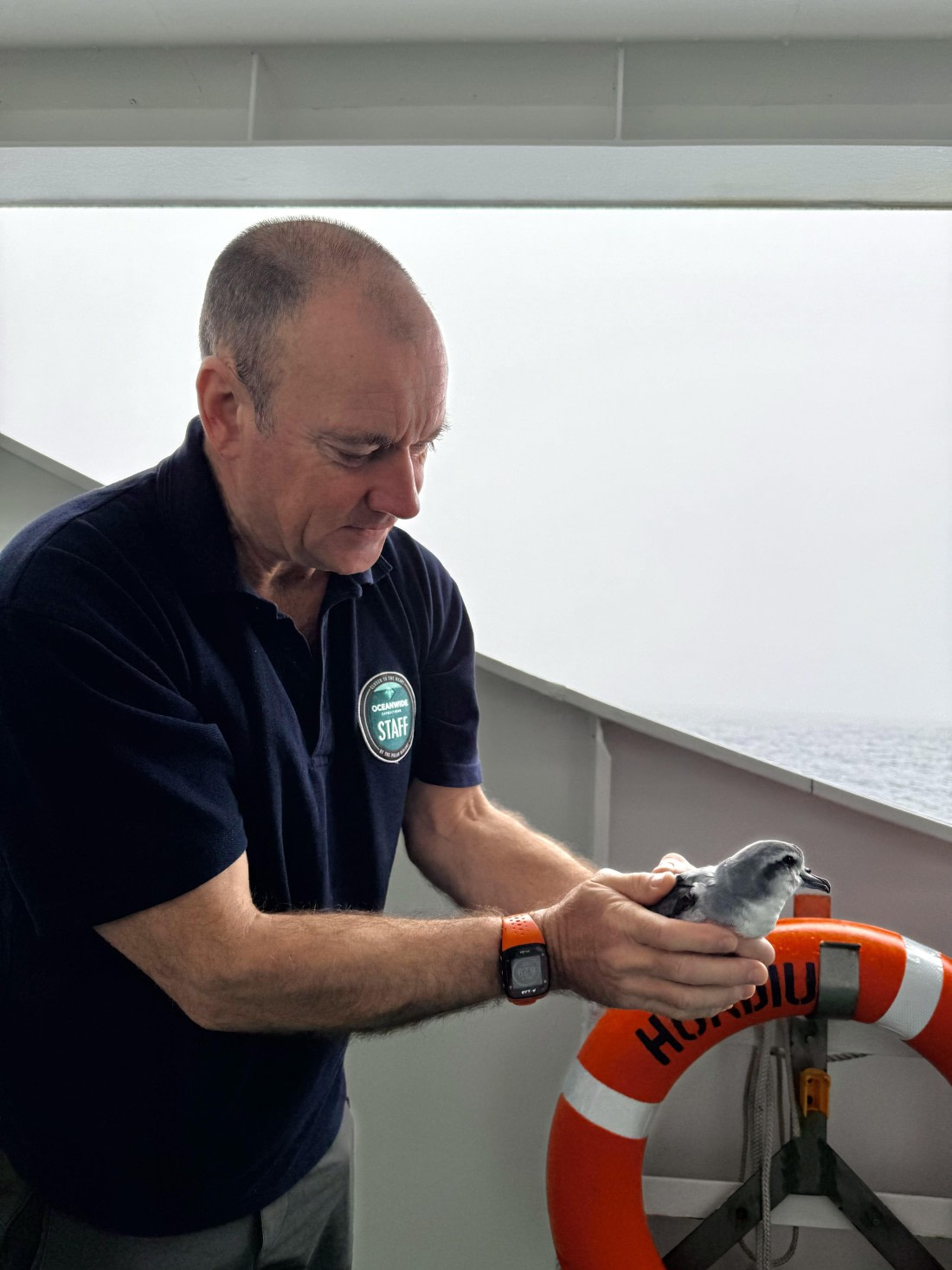 HDS28-26, Day 13, IMG_2432_Hana_(2).jpg © Hana Spickova - Oceanwide Expeditions.jpg