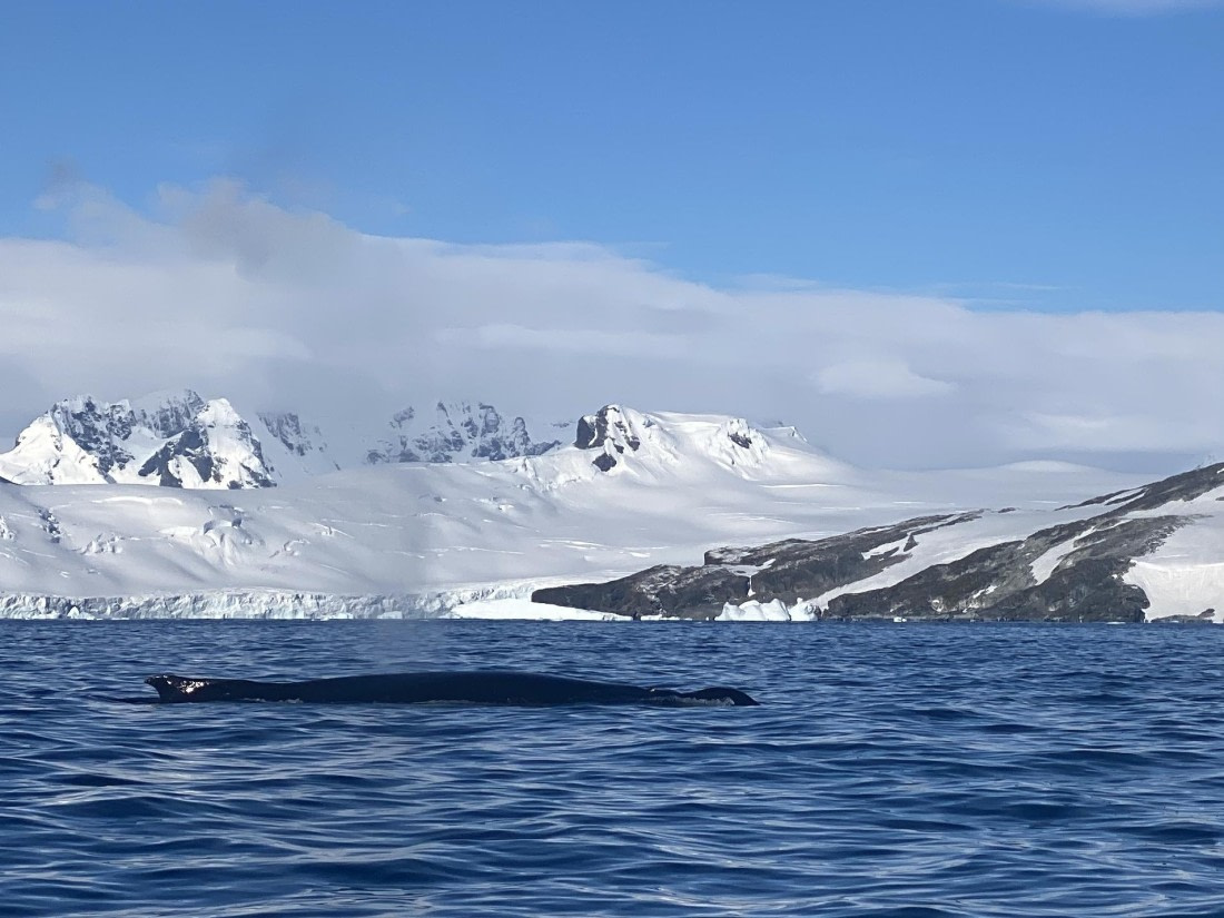 HDS28-26, Day 14, IMG_8800.jpg © Unknown photographer - Oceanwide Expeditions.jpg