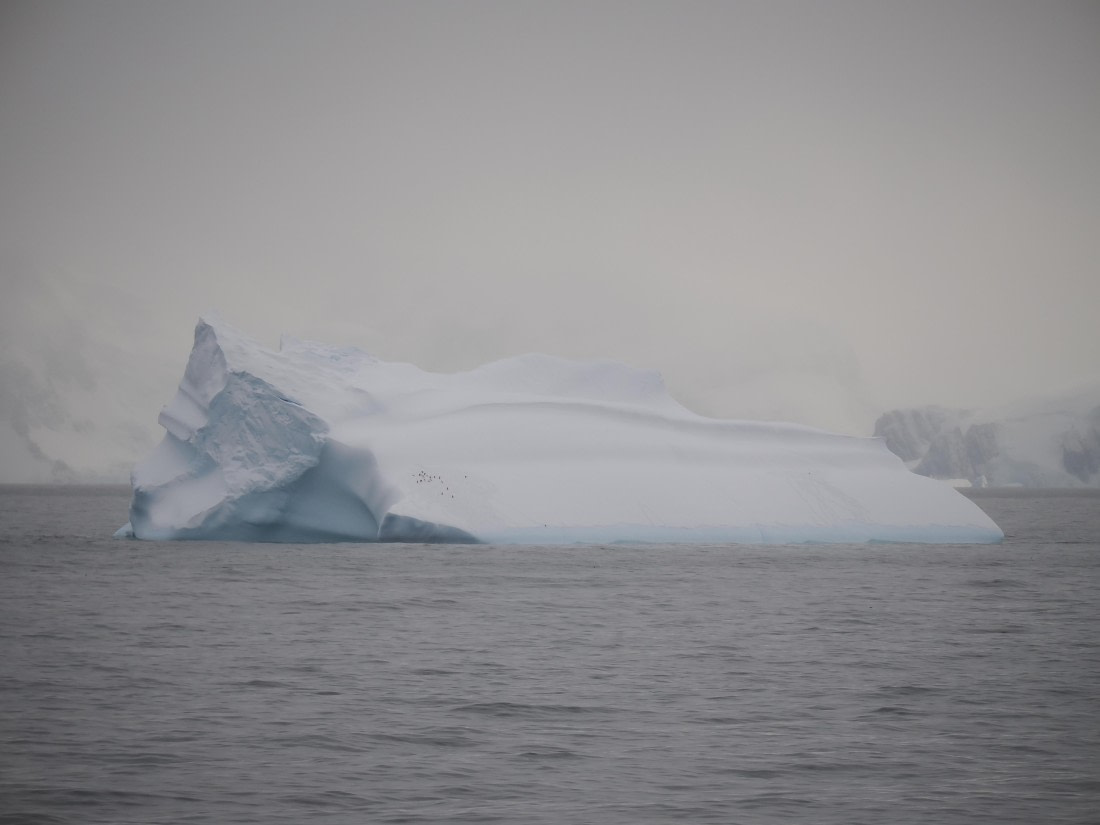 HDS28-26, Day 14, P2100707.JPG © Unknown photographer - Oceanwide Expeditions.JPG