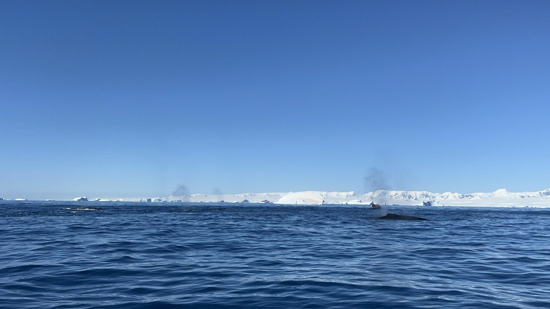 HDS28-26, Day 17, IMG_3396.jpg © Unknown photographer - Oceanwide Expeditions.jpg